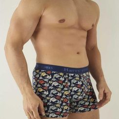 boxer_harry_jons_rock_