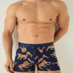 boxer_harry_jons_tiger_