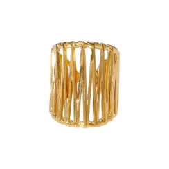 Gold steel ring PE-R1439